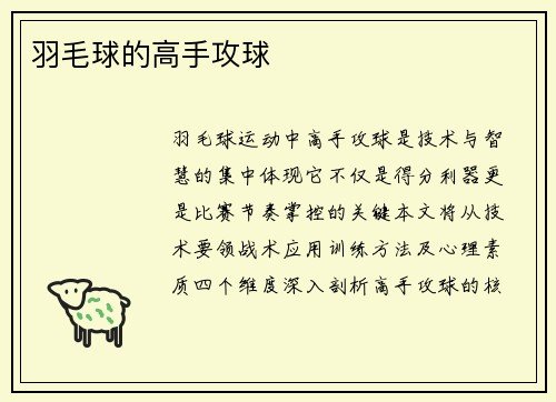 羽毛球的高手攻球