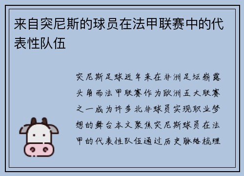 来自突尼斯的球员在法甲联赛中的代表性队伍